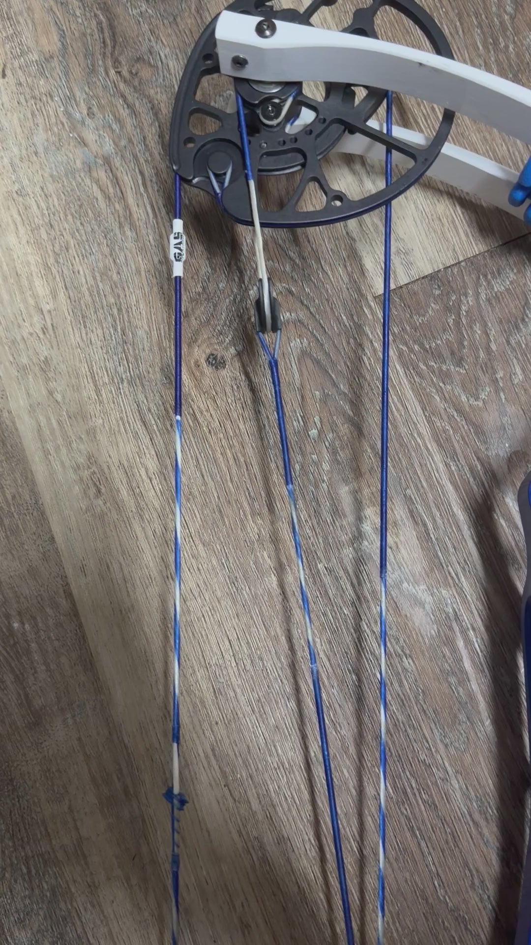 Hoyt Concept FX LH Bow--New Demo